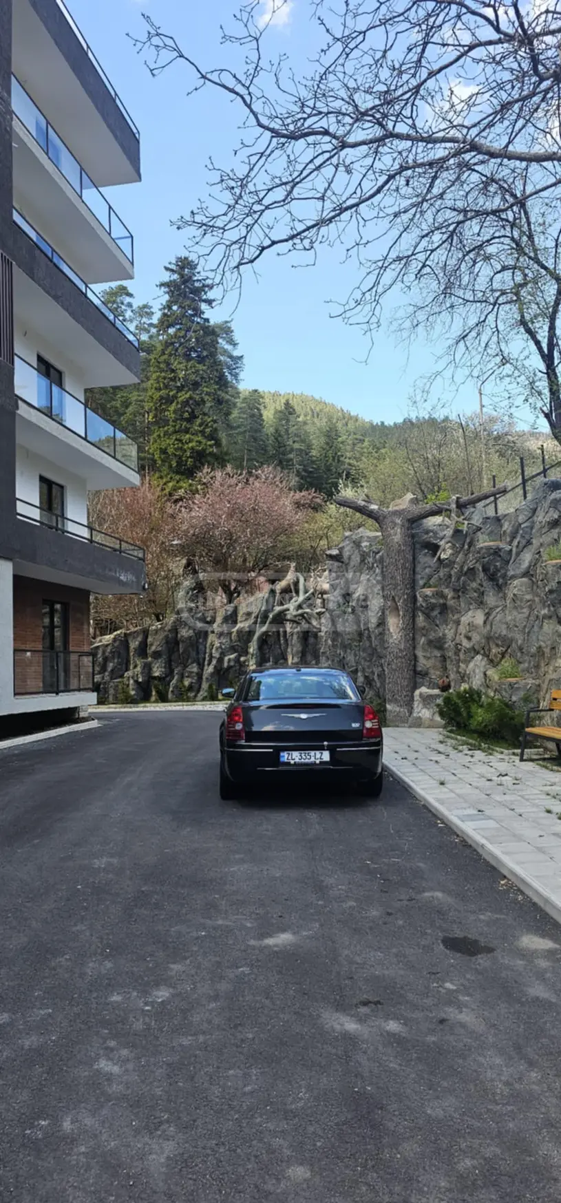 2 Room Apartment For Rent In Borjomi view 1