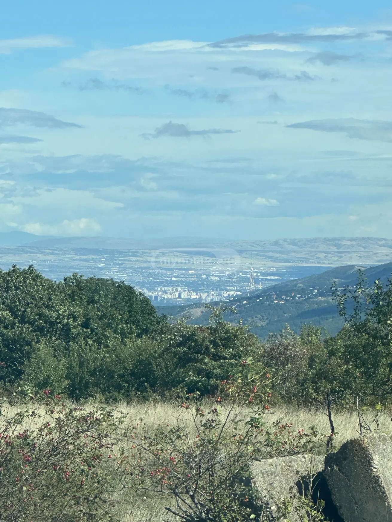 Non-Agricultural Plot For Sale In Tskluleti, In Tetritskaro Municipality view 5