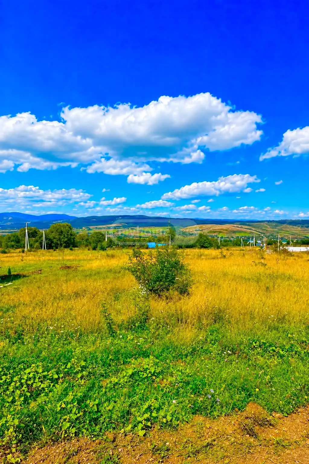 Non-Agricultural Plot For Sale In Tianeti, In Tianeti Municipality view 2