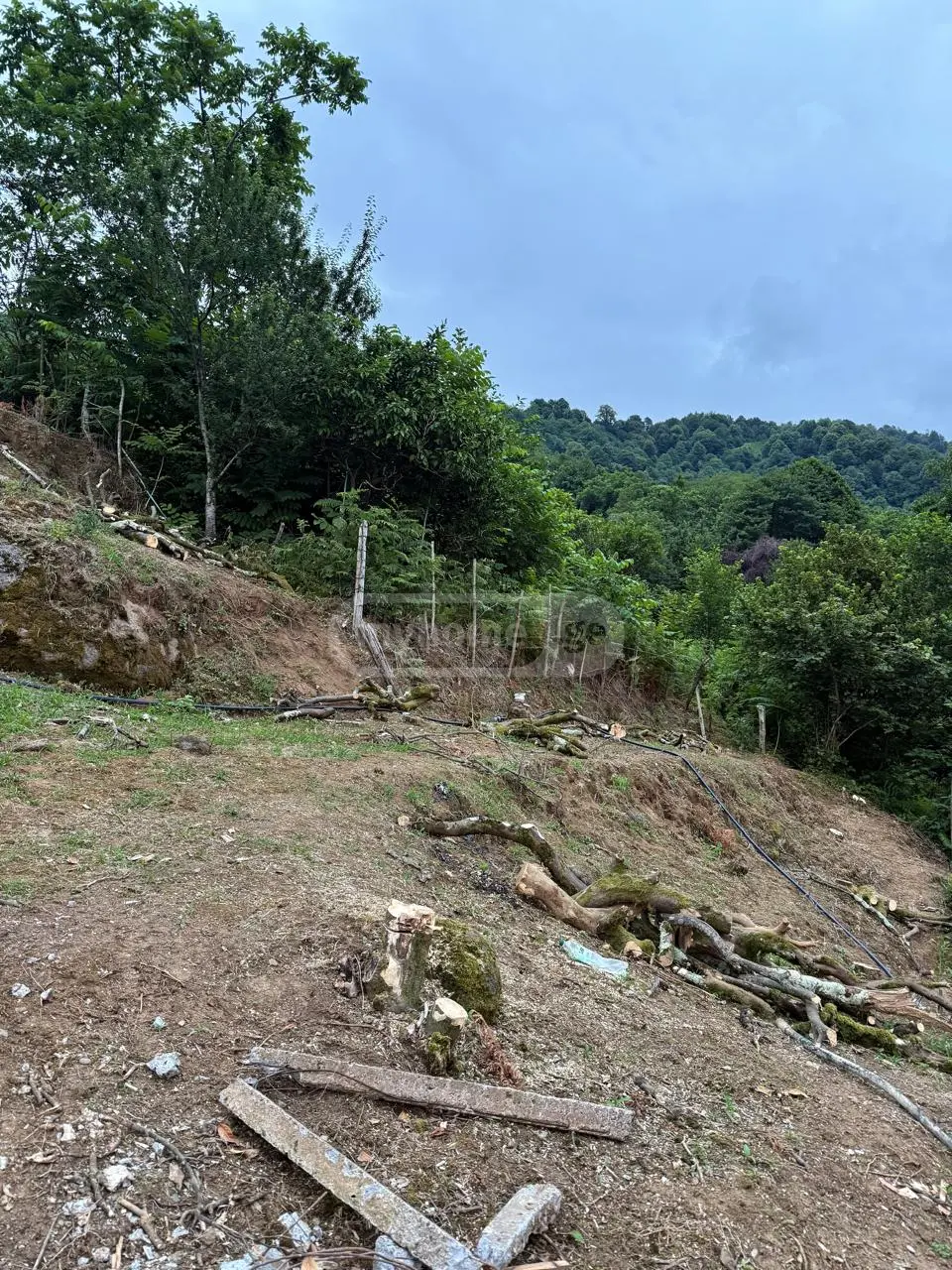 Agricultural Plot For Sale In Gonio, In Khelvachauri Municipality view 4