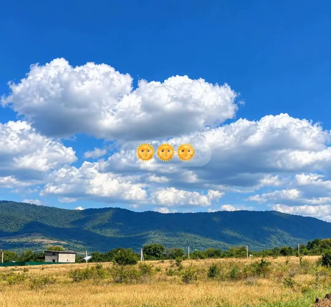 Non-Agricultural Plot For Sale In Tianeti, In Tianeti Municipality view 4