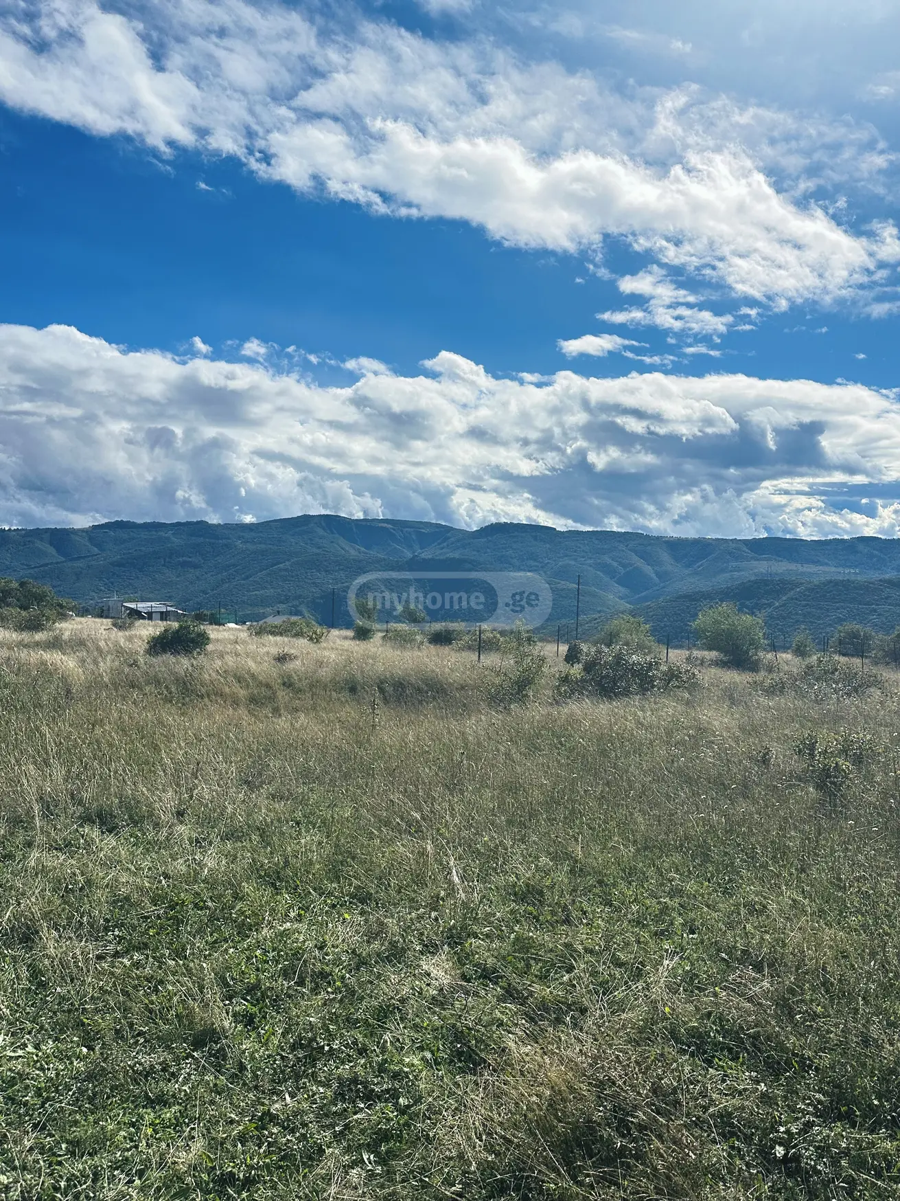 Non-Agricultural Plot For Sale In Tskluleti, In Tetritskaro Municipality view 7