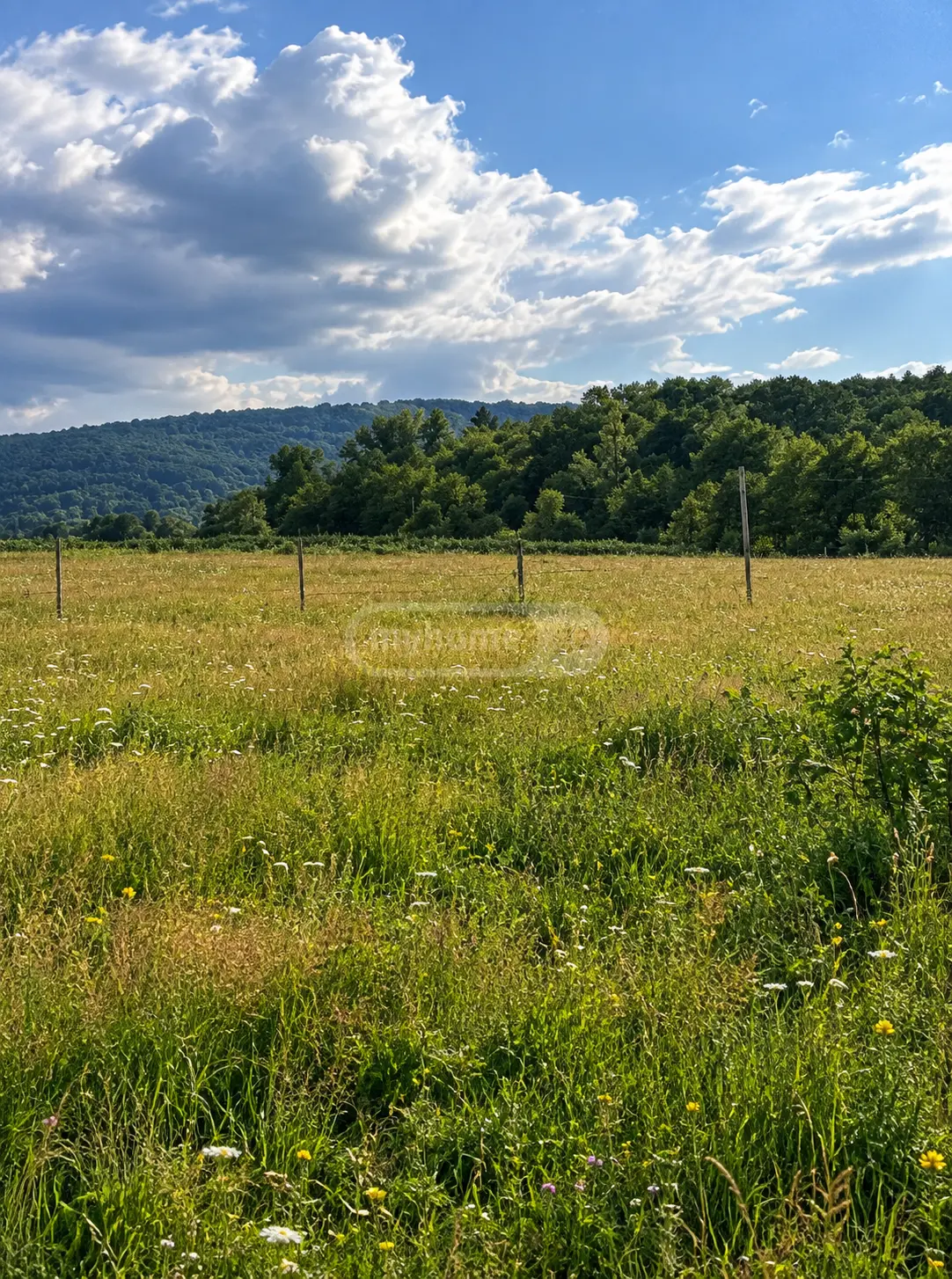 Non-Agricultural Plot For Sale In Tianeti, In Tianeti Municipality view 3