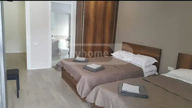 5 Room Private House Daily Rent In Bakuriani view 3