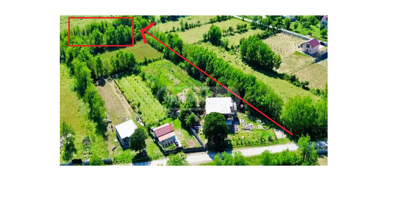 Agricultural Plot For Sale In Kvitiri, In Tskaltubo Municipality view 3