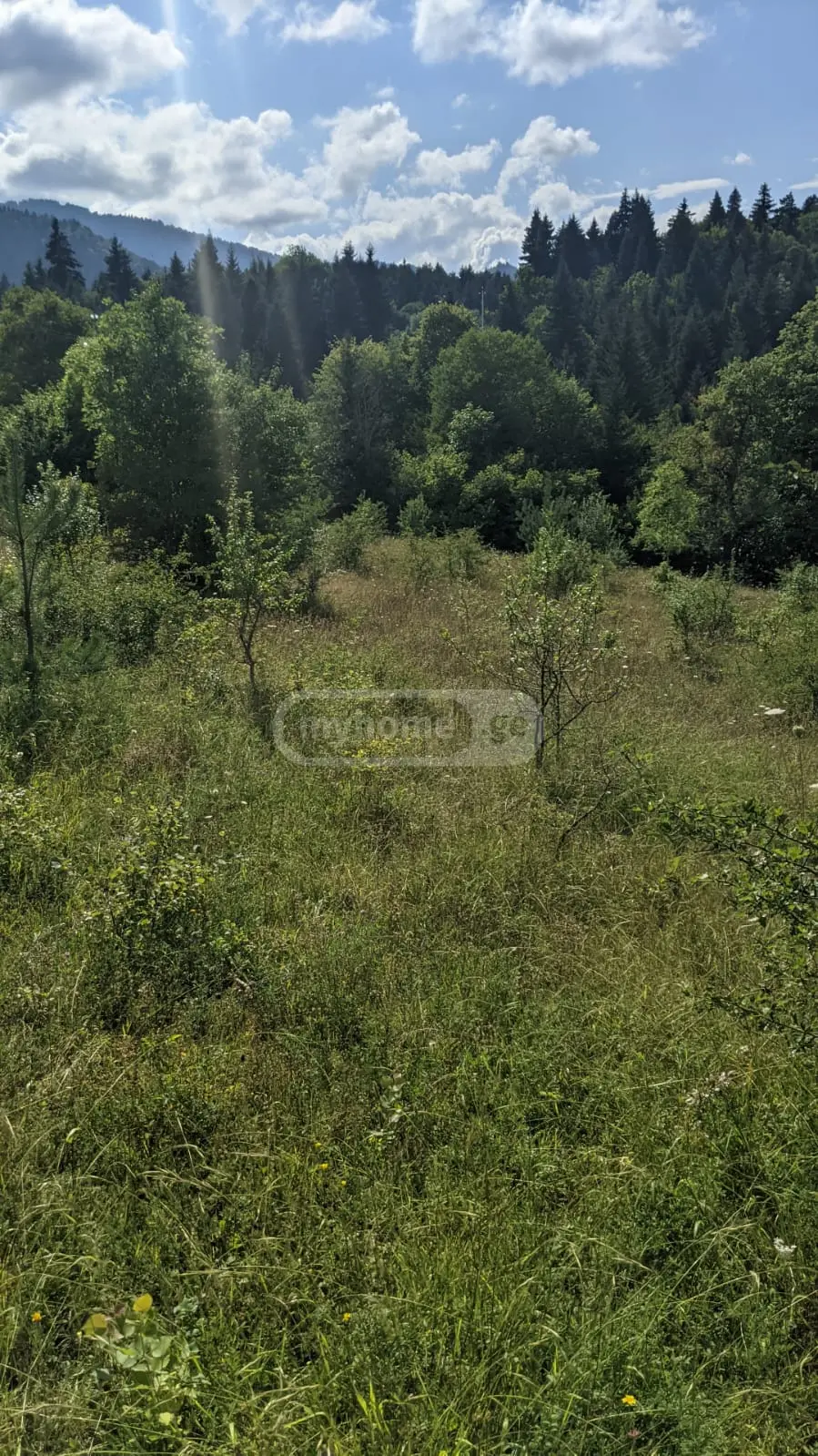 Agricultural Plot For Sale In Tsemi, In Borjomi Municipality view 2