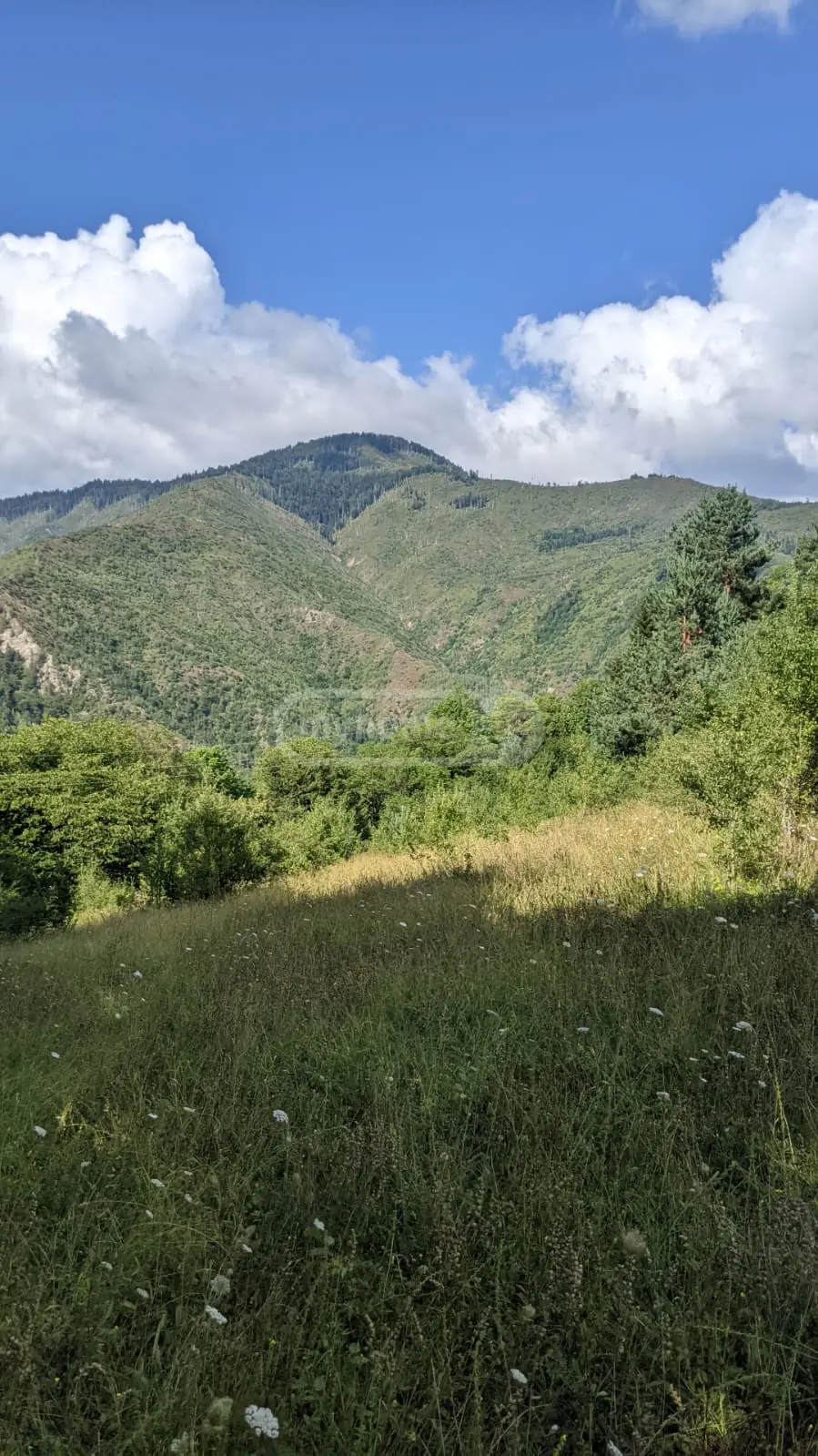 Agricultural Plot For Sale In Tsemi, In Borjomi Municipality view 4