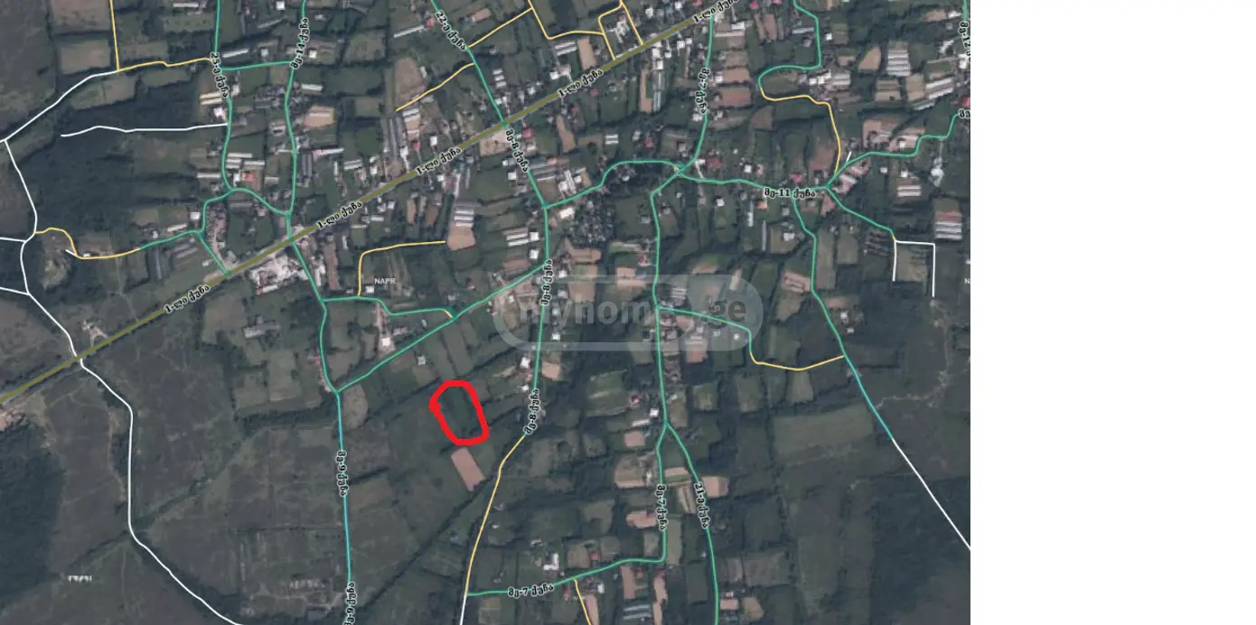 Agricultural Plot For Sale In Kvitiri, In Tskaltubo Municipality view 4