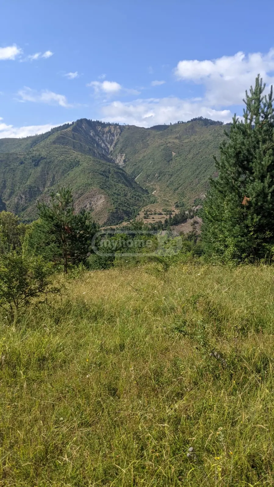 Agricultural Plot For Sale In Tsemi, In Borjomi Municipality view 5