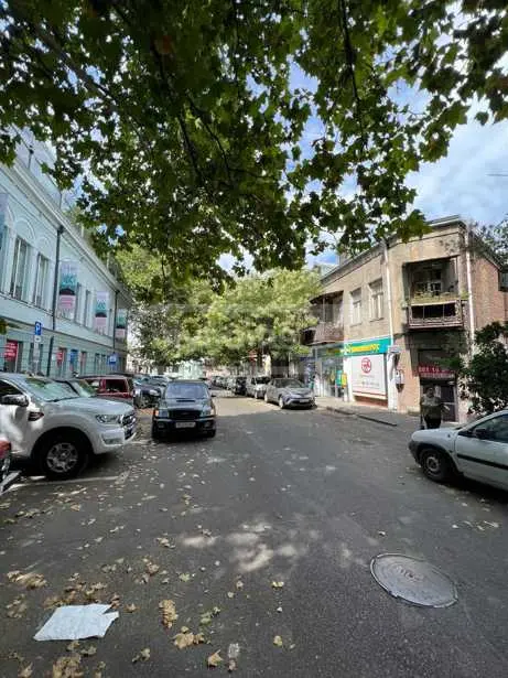 Universal Commercial Area For Sale In Sololaki view 7