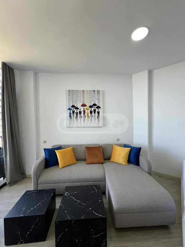 1 Room Apartment For Rent In Chaqvi, In Kobuleti Municipality view 10