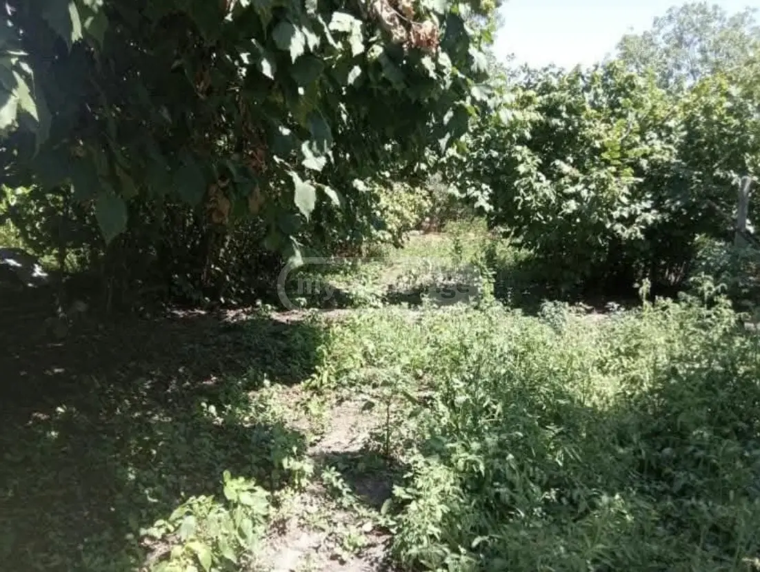 5 Room Private House For Sale view 5