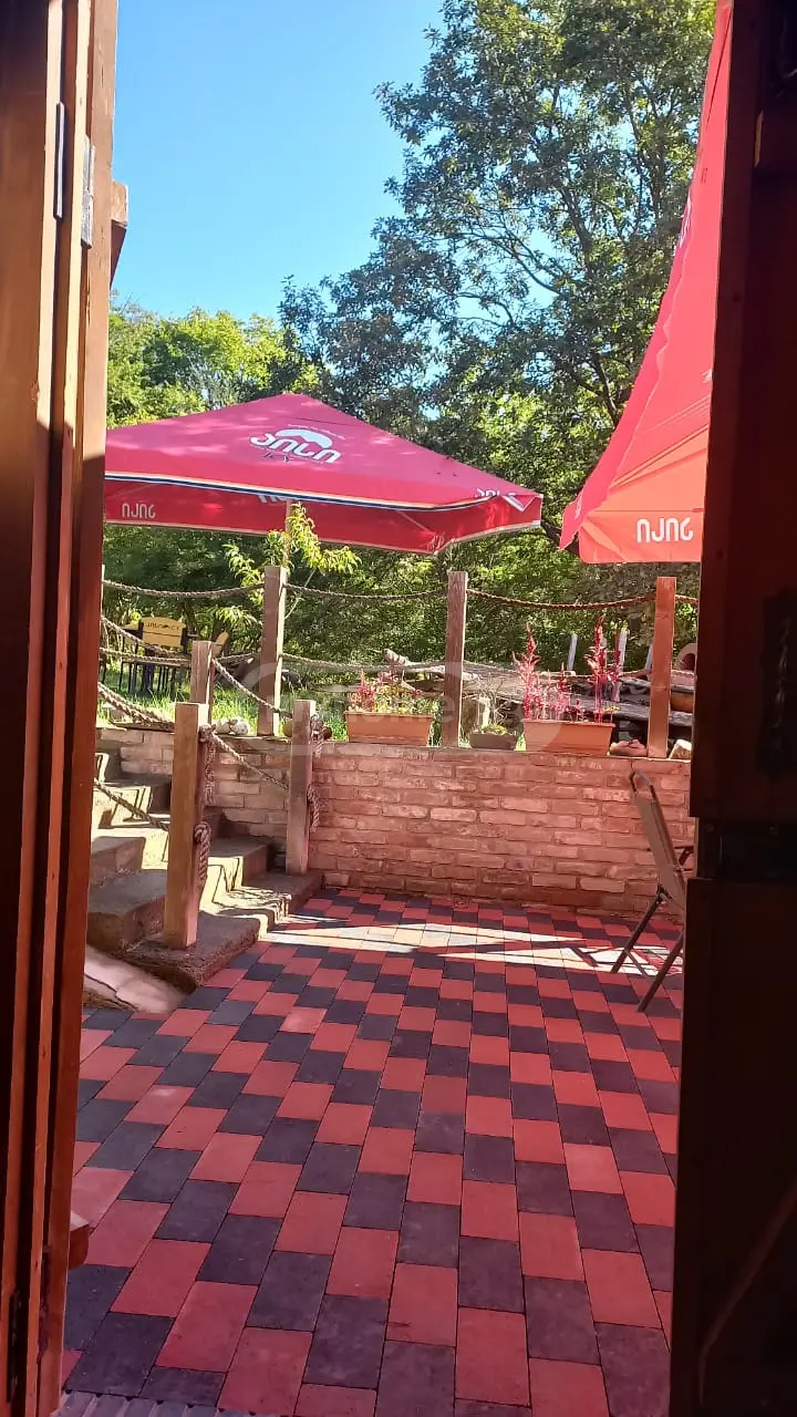Food Object Commercial Area For Sale In Mtskheta Municipality view 13