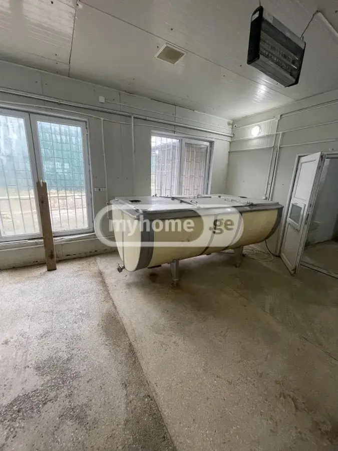 Warehousing Commercial Area For Rent In Gardabani Municipality view 6