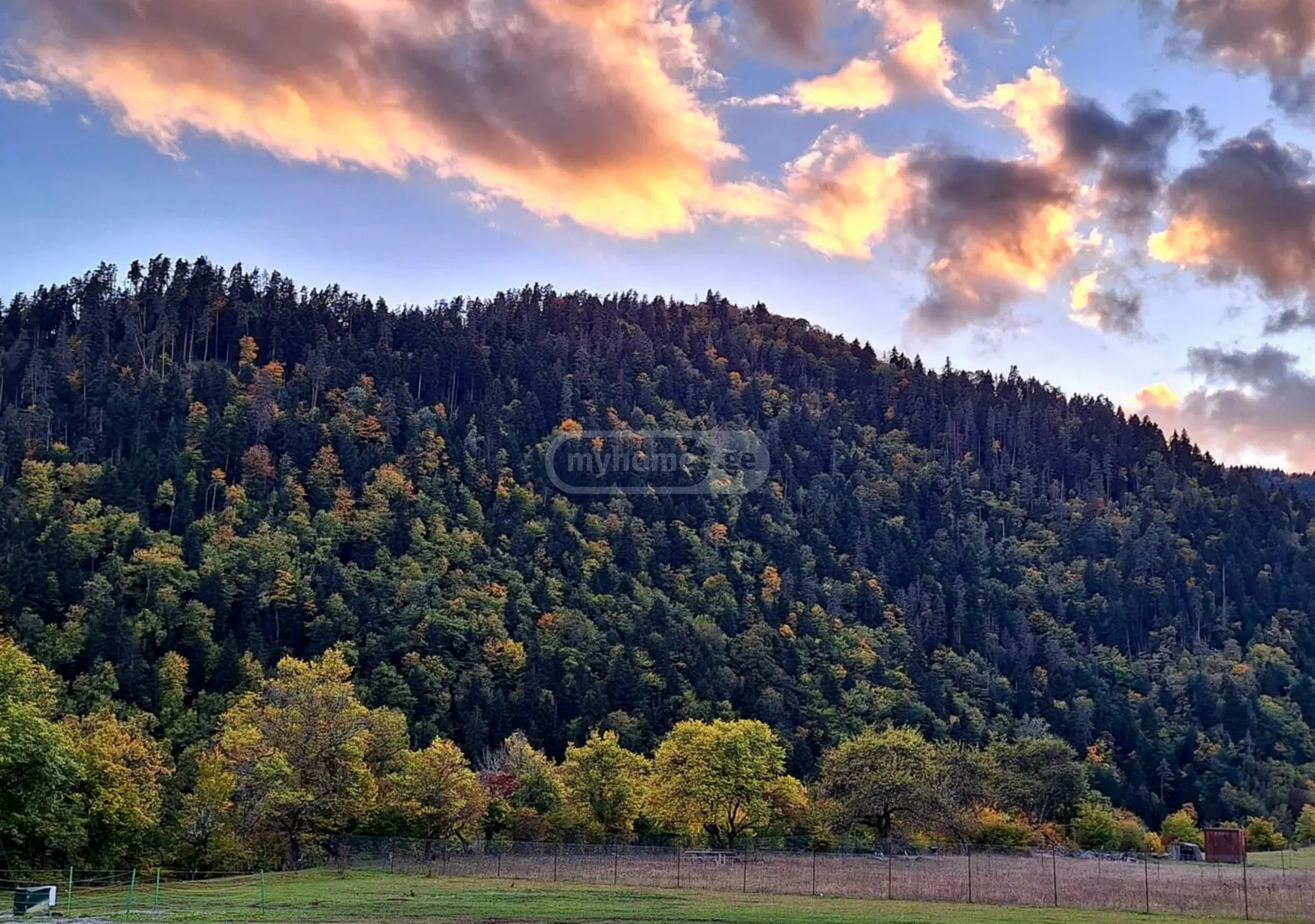 4 Room Private House Daily Rent In Borjomi view 9