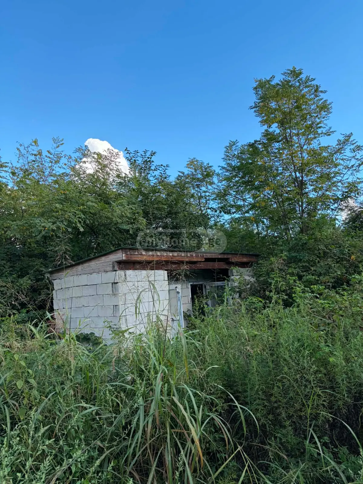 იყიდება Agricultural Plot In Lagodekhiში view 10