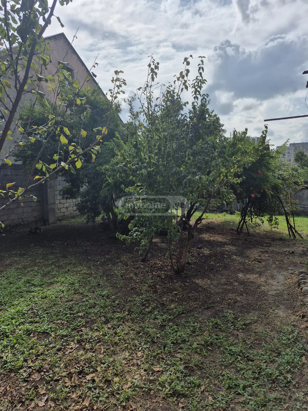 Non-Agricultural Plot For Sale In Isani view 5
