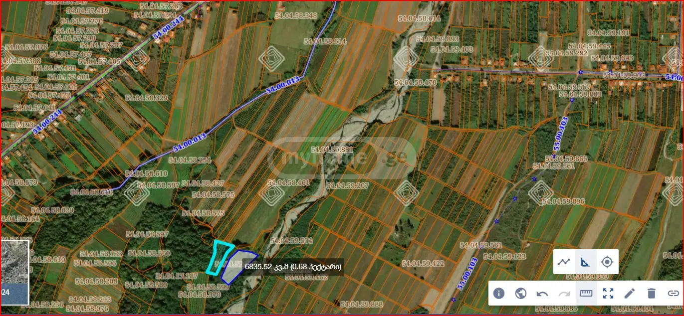 იყიდება Agricultural Plot In Lagodekhiში view 4