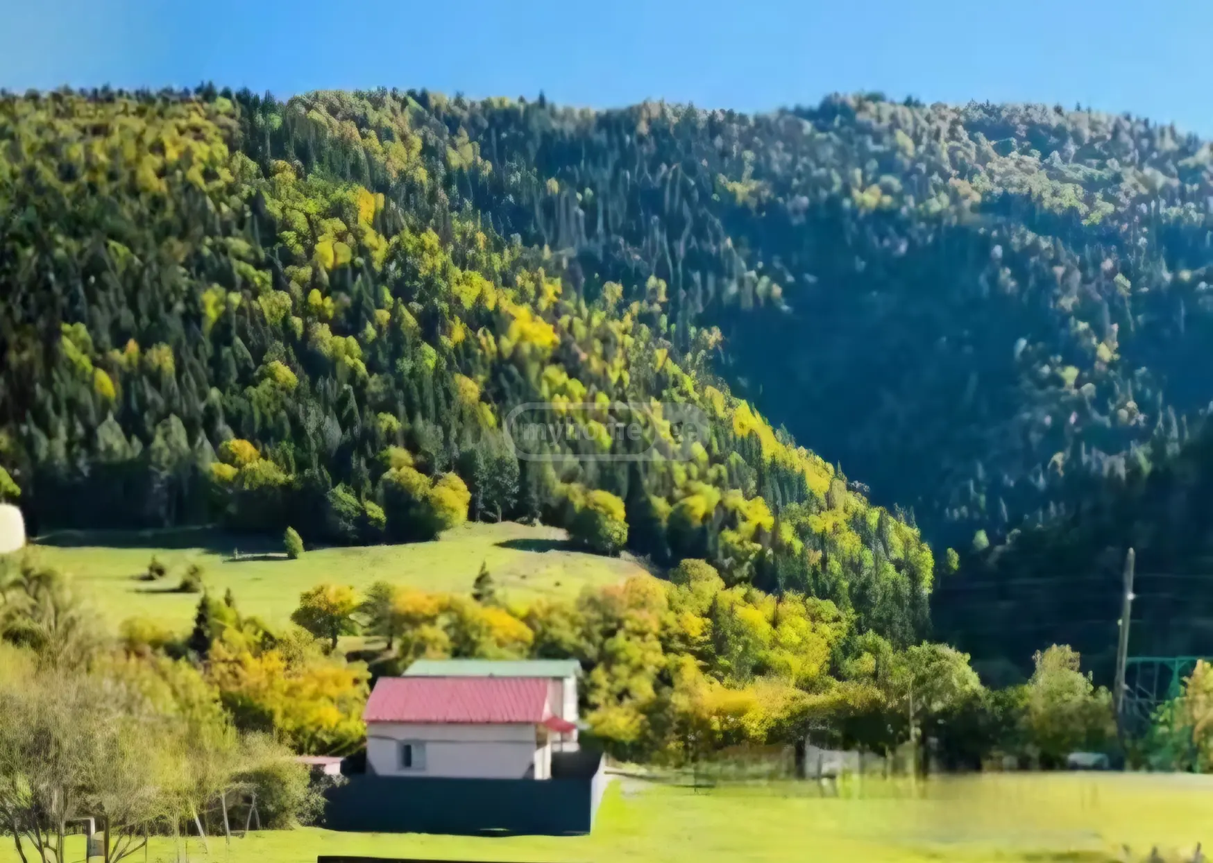4 Room Private House Daily Rent In Borjomi view 10
