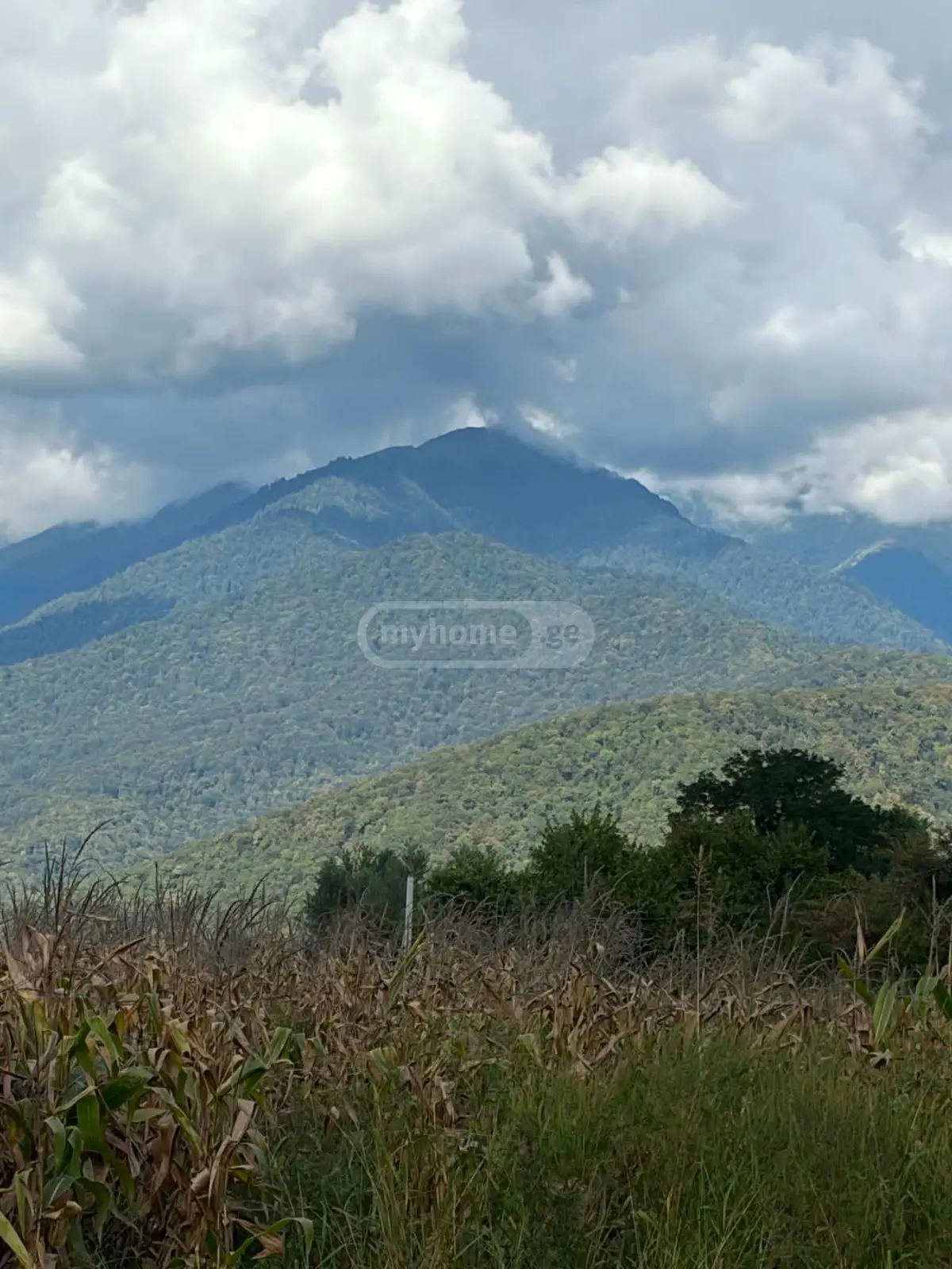 იყიდება Agricultural Plot In Lagodekhiში view 9