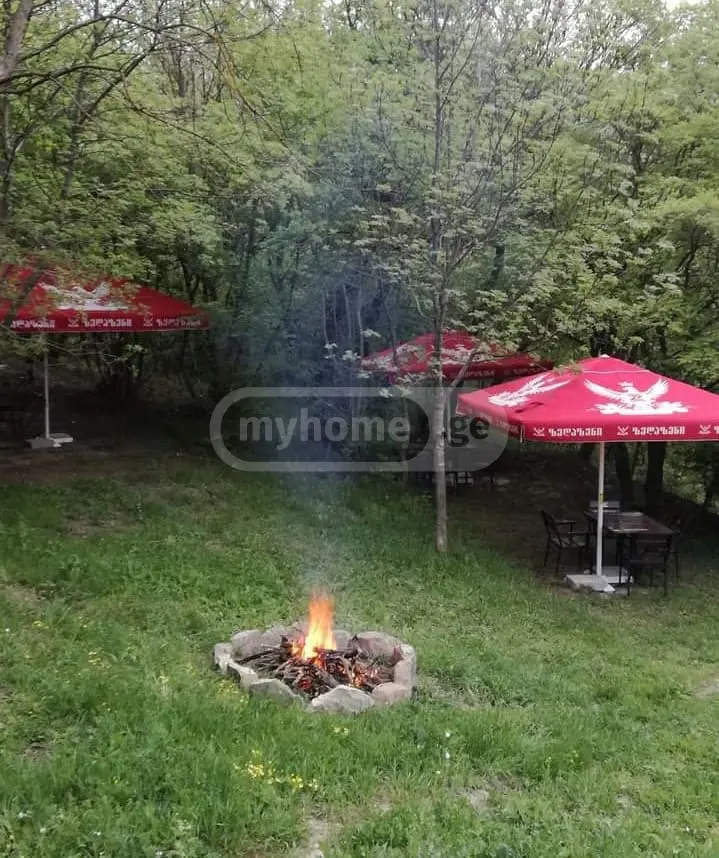 Food Object Commercial Area For Sale In Mtskheta Municipality view 7