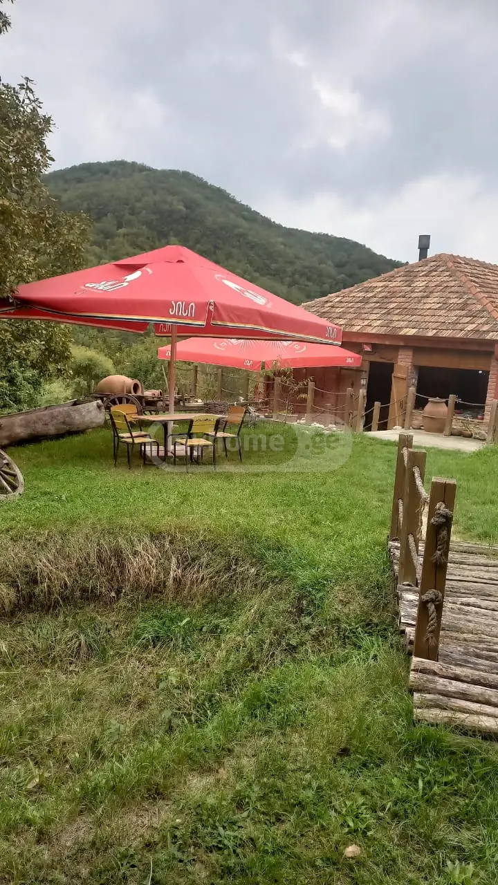 Food Object Commercial Area For Sale In Mtskheta Municipality view 11