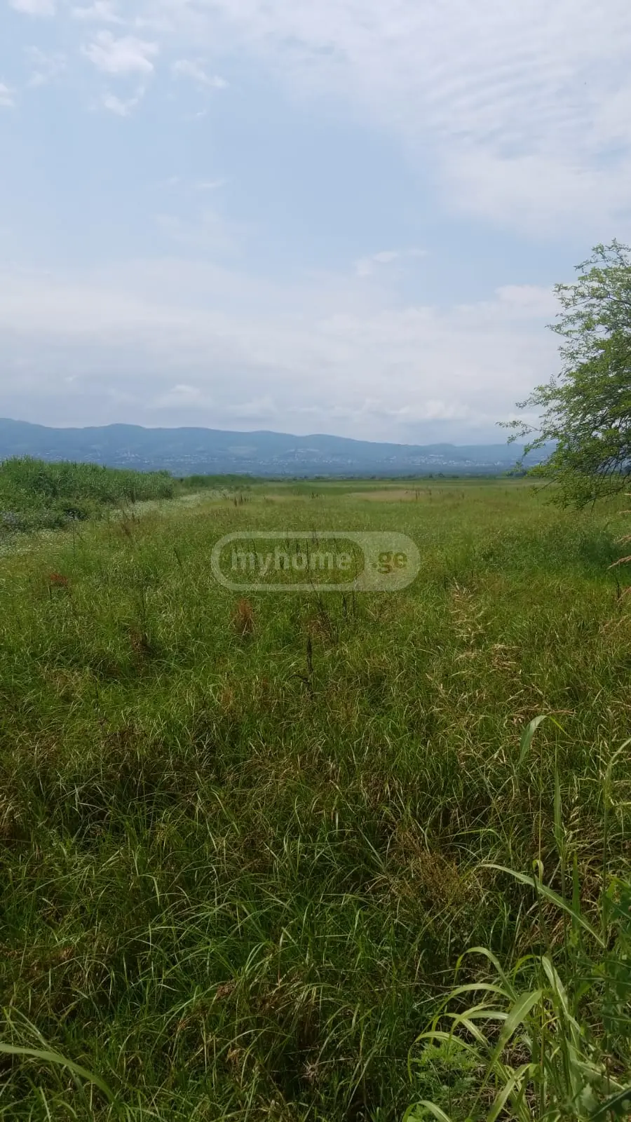 იყიდება Agricultural Plot In Chandar, In Gurjaani Municipalityში view 3