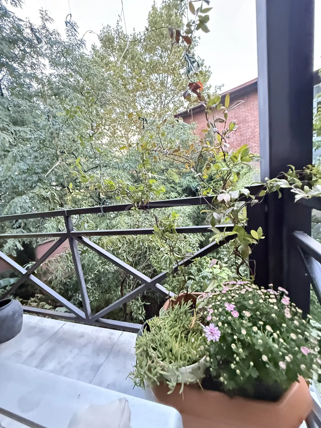 2 Room Apartment For Sale view 15