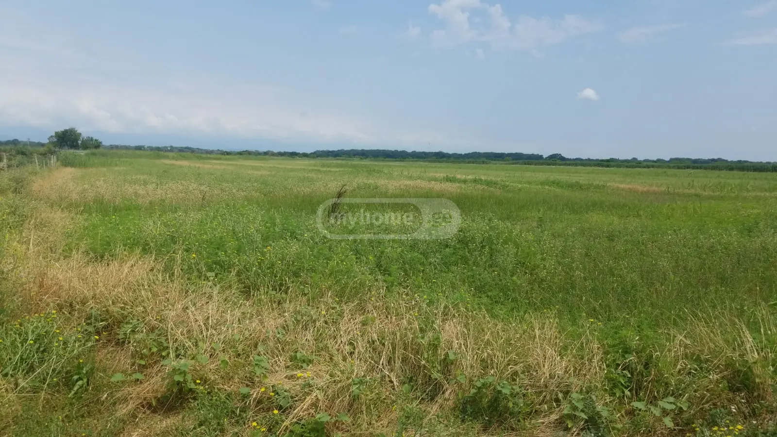იყიდება Agricultural Plot In Chandar, In Gurjaani Municipalityში view 1