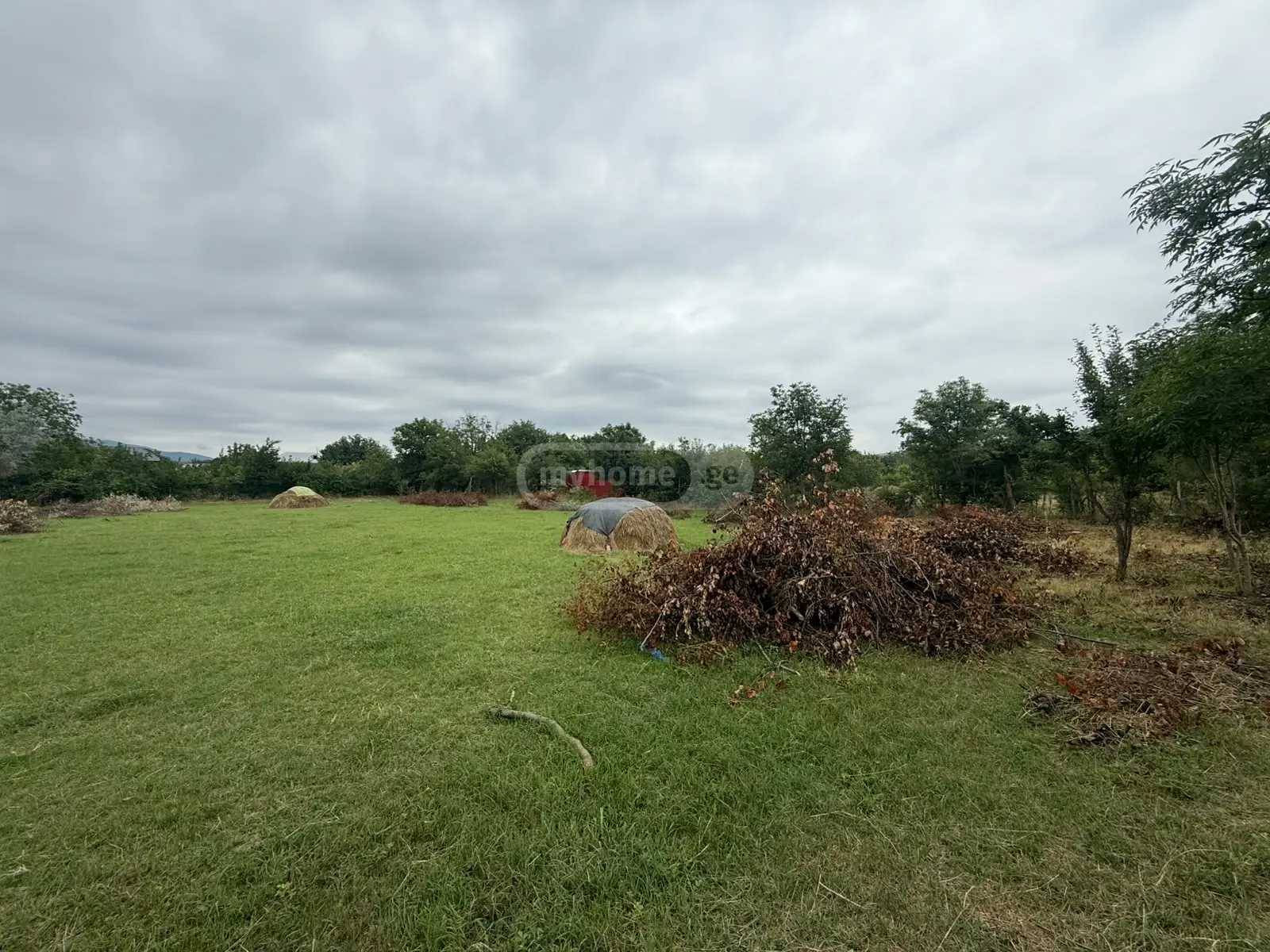 იყიდება Non-Agricultural Plot In Akhalsopeli, In Gardabani Municipalityში view 8