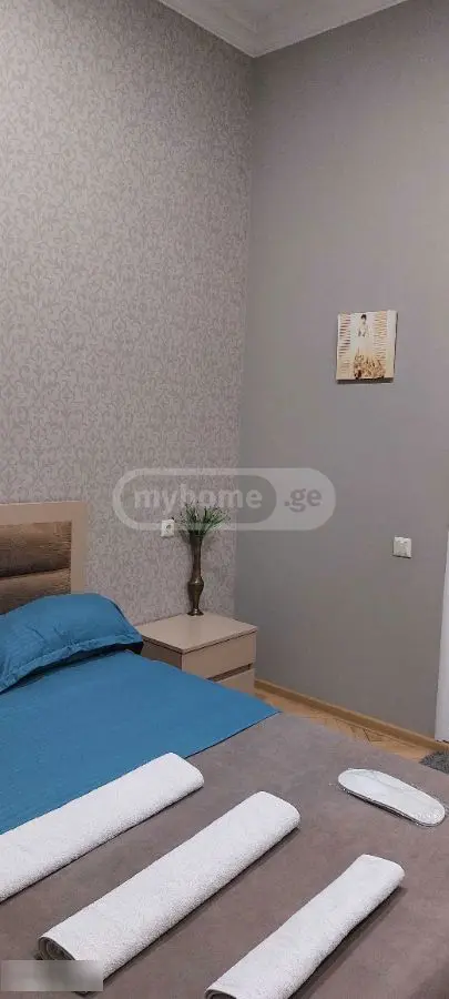 1 Room Hotel Daily Rent In Chugureti view 4