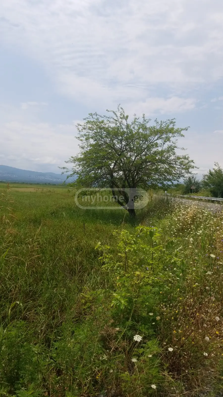 იყიდება Agricultural Plot In Chandar, In Gurjaani Municipalityში view 6