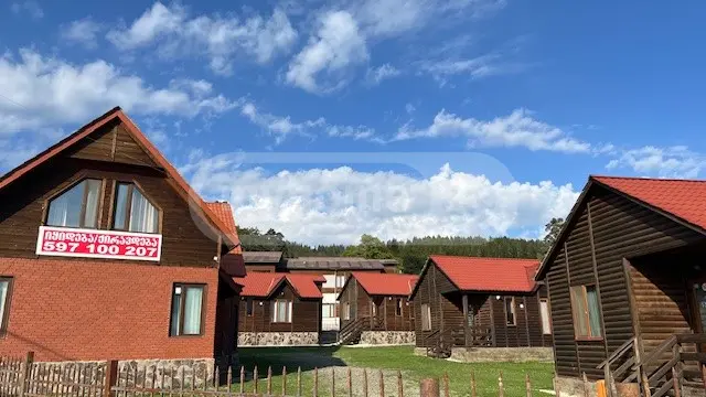 Продажа 10+ Room Country House в In Bakuriani view 1