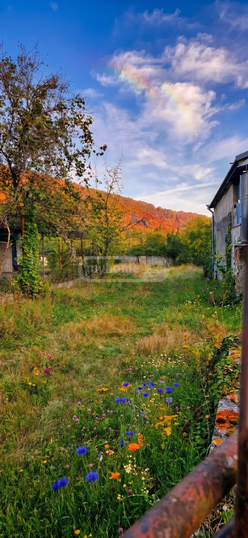 იყიდება Agricultural Plot In Lagodekhiში view 5