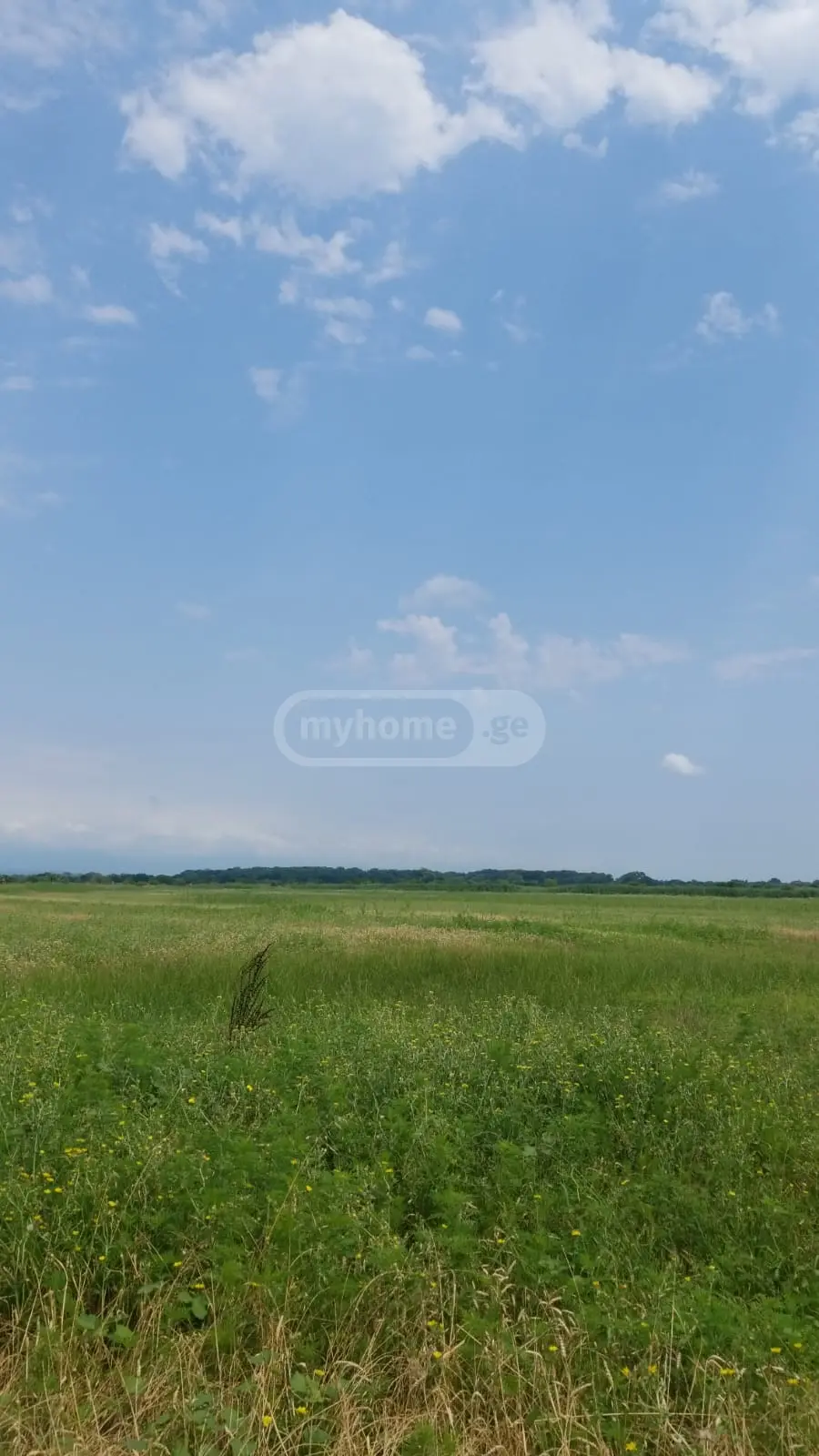 იყიდება Agricultural Plot In Chandar, In Gurjaani Municipalityში view 2
