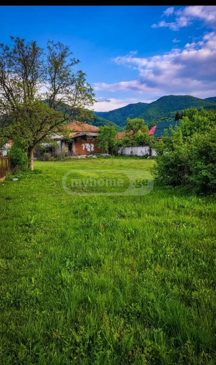 იყიდება Agricultural Plot In Lagodekhiში view 3