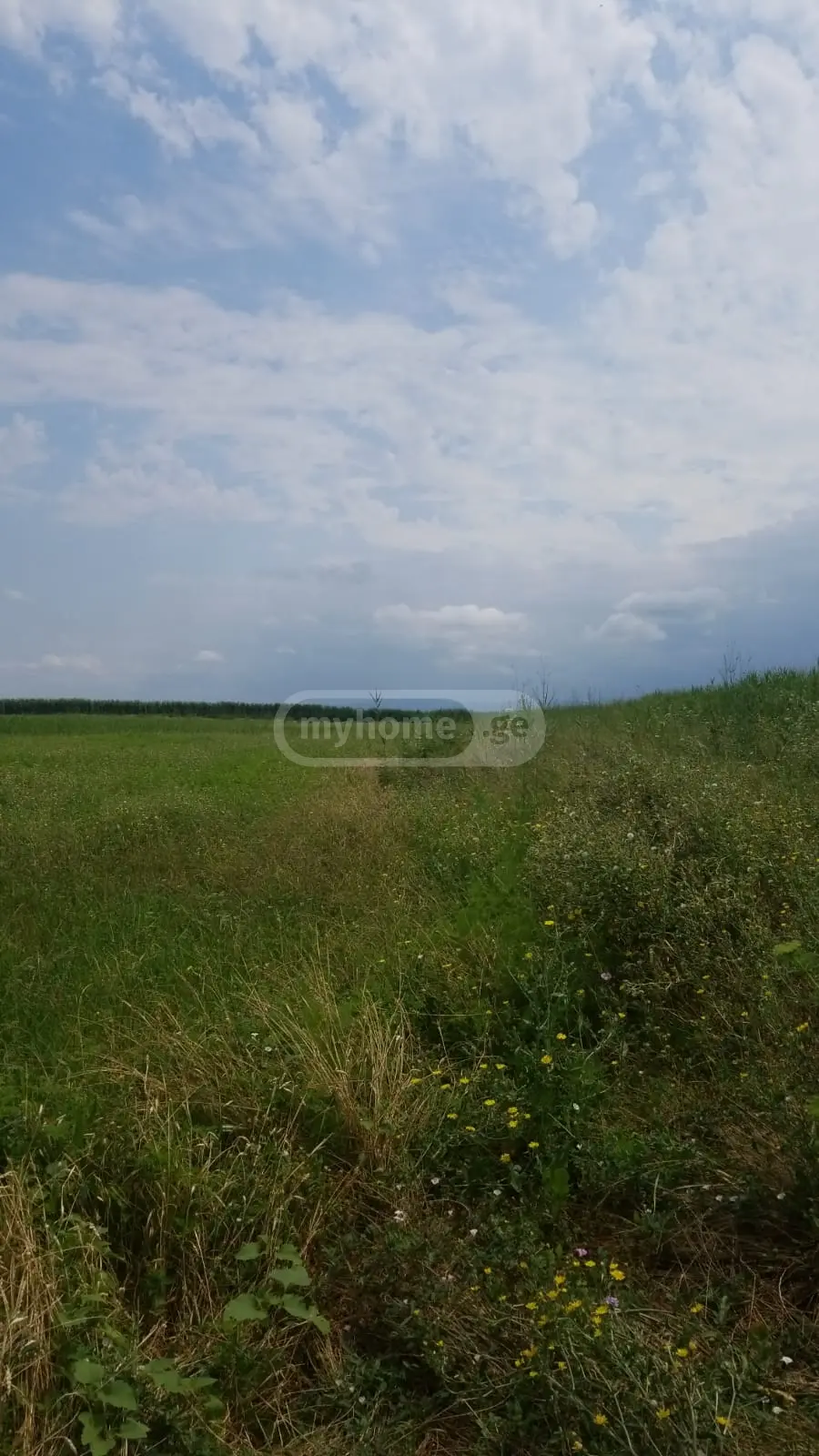 იყიდება Agricultural Plot In Chandar, In Gurjaani Municipalityში view 7