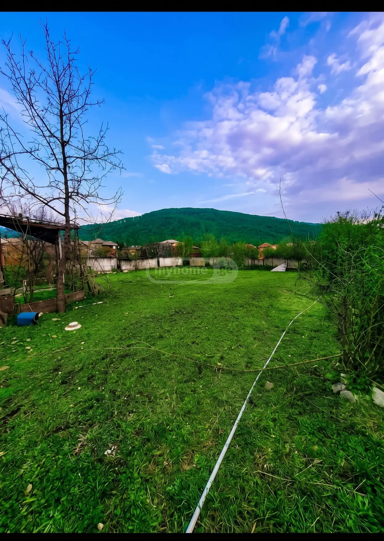 იყიდება Agricultural Plot In Lagodekhiში view 4