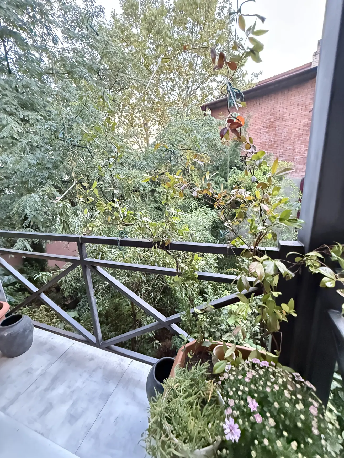 2 Room Apartment For Sale view 16