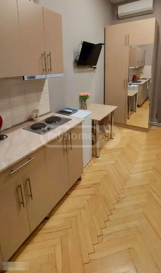 1 Room Hotel Daily Rent In Chugureti view 5