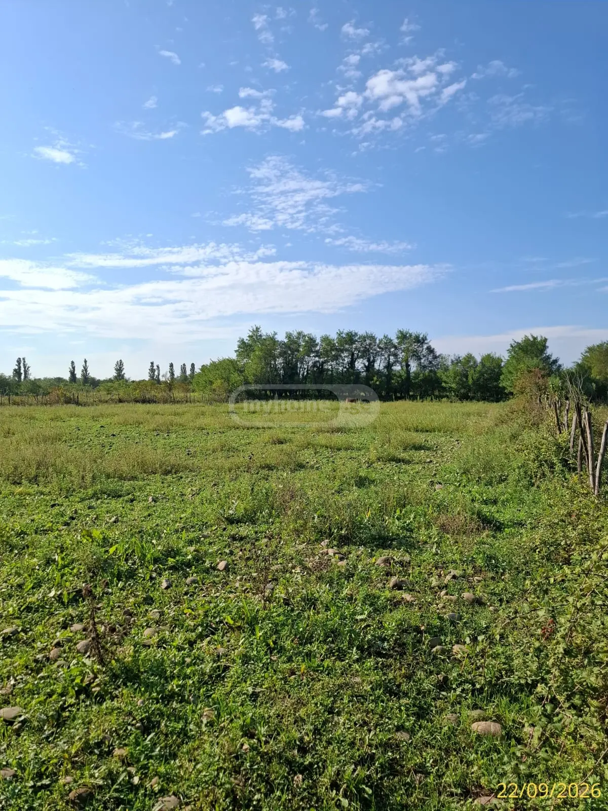 Agricultural Plot For Sale In Kvitiri, In Tskaltubo Municipality view 2