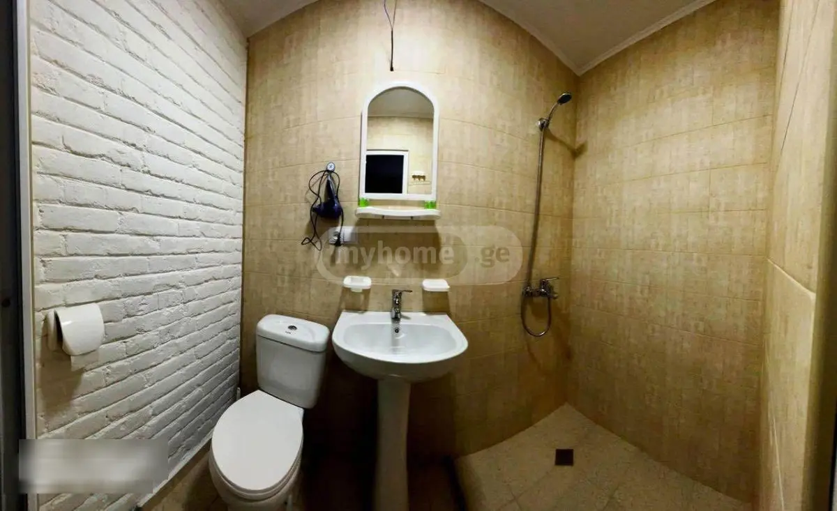 3 Room Hotel Daily Rent In Mtatsminda view 6
