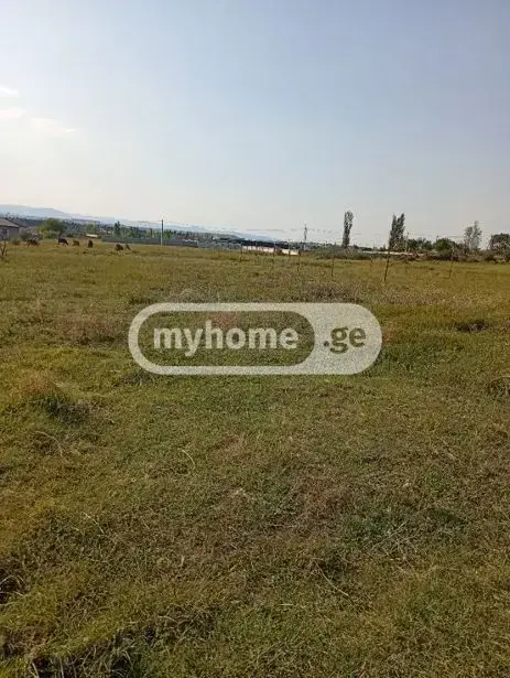 Agricultural Plot For Sale In Varketili view 3