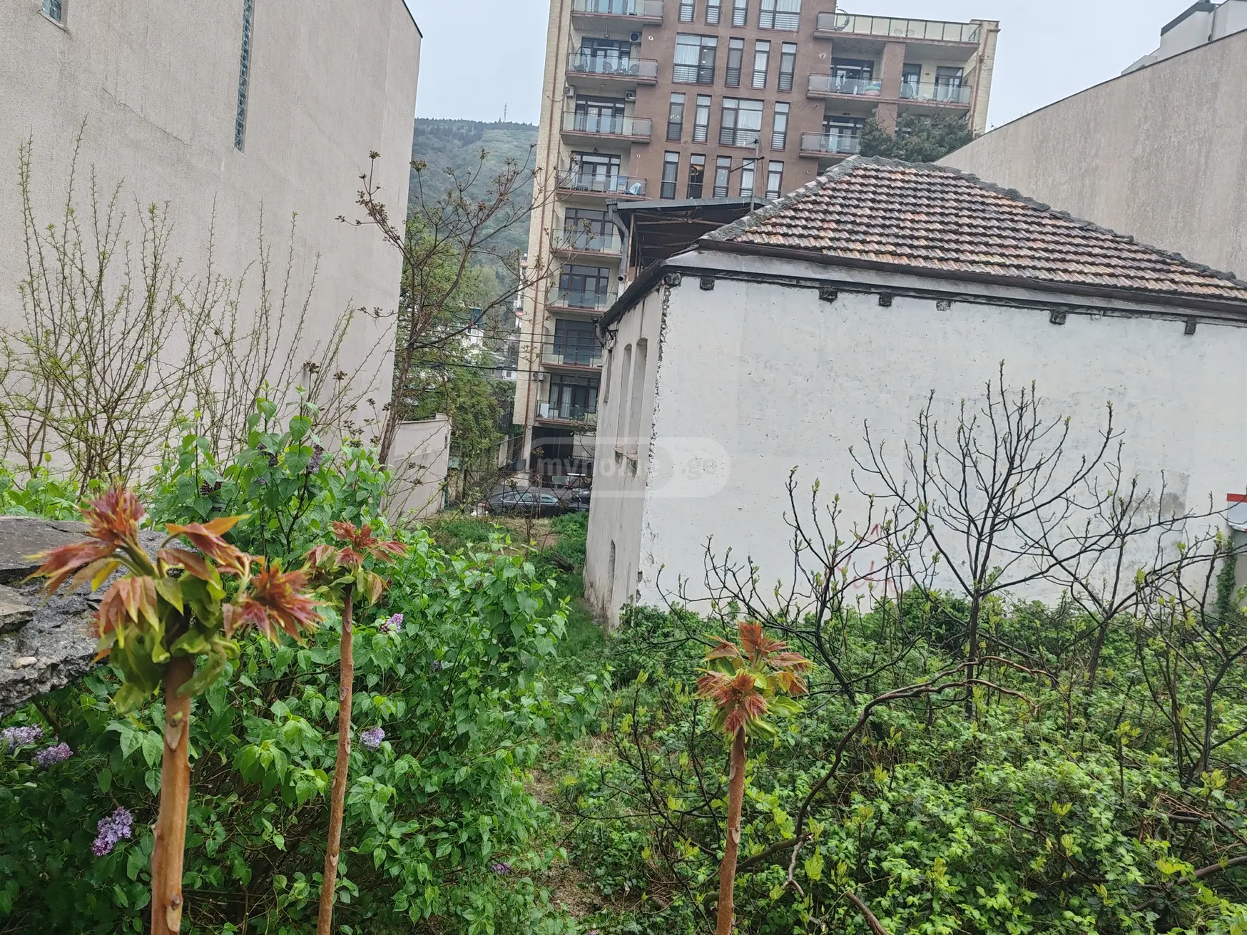 Non-Agricultural Plot For Sale In Vake view 5