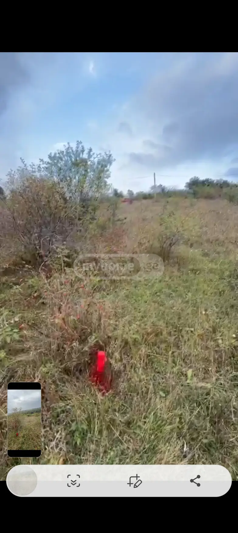 იყიდება Agricultural Plot In Tetritskaroში view 3