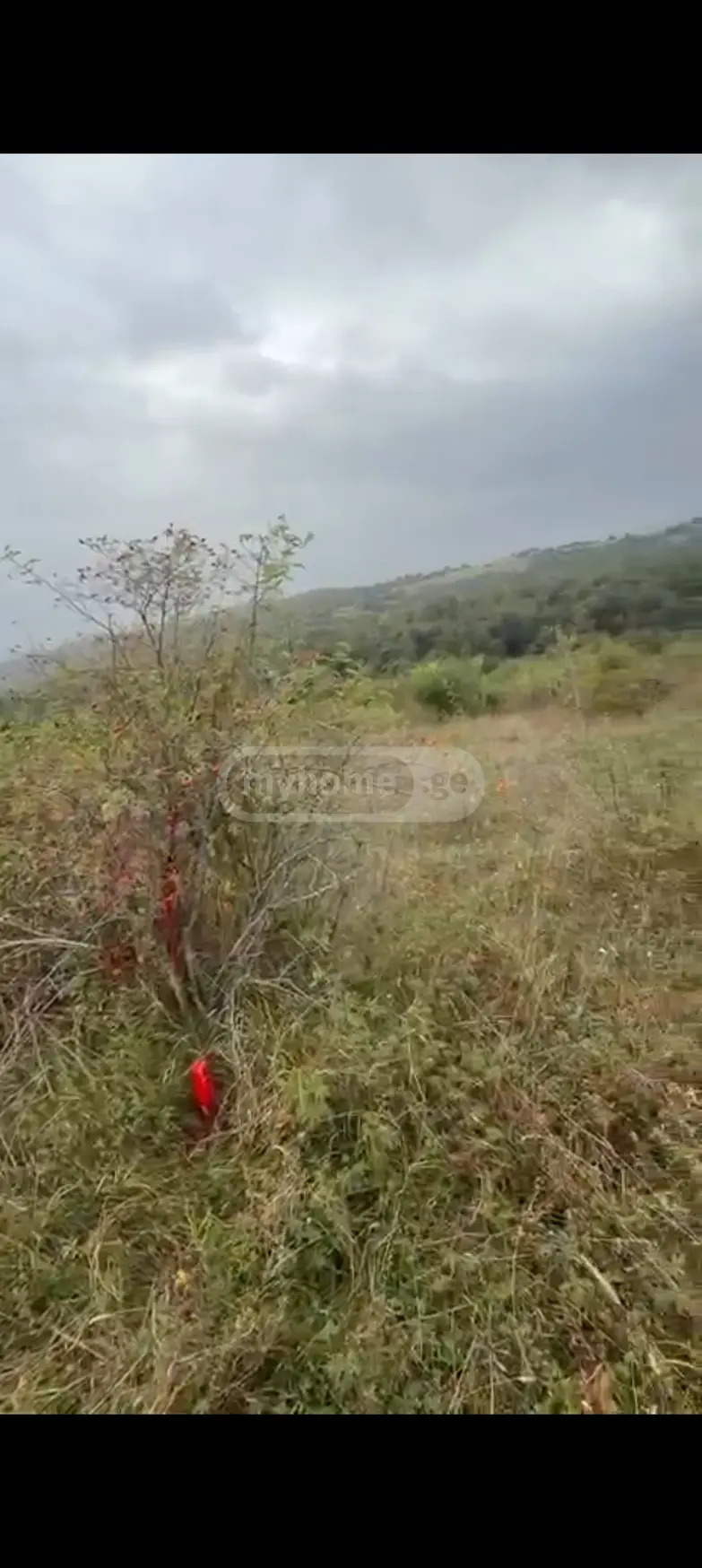 იყიდება Agricultural Plot In Tetritskaroში view 4