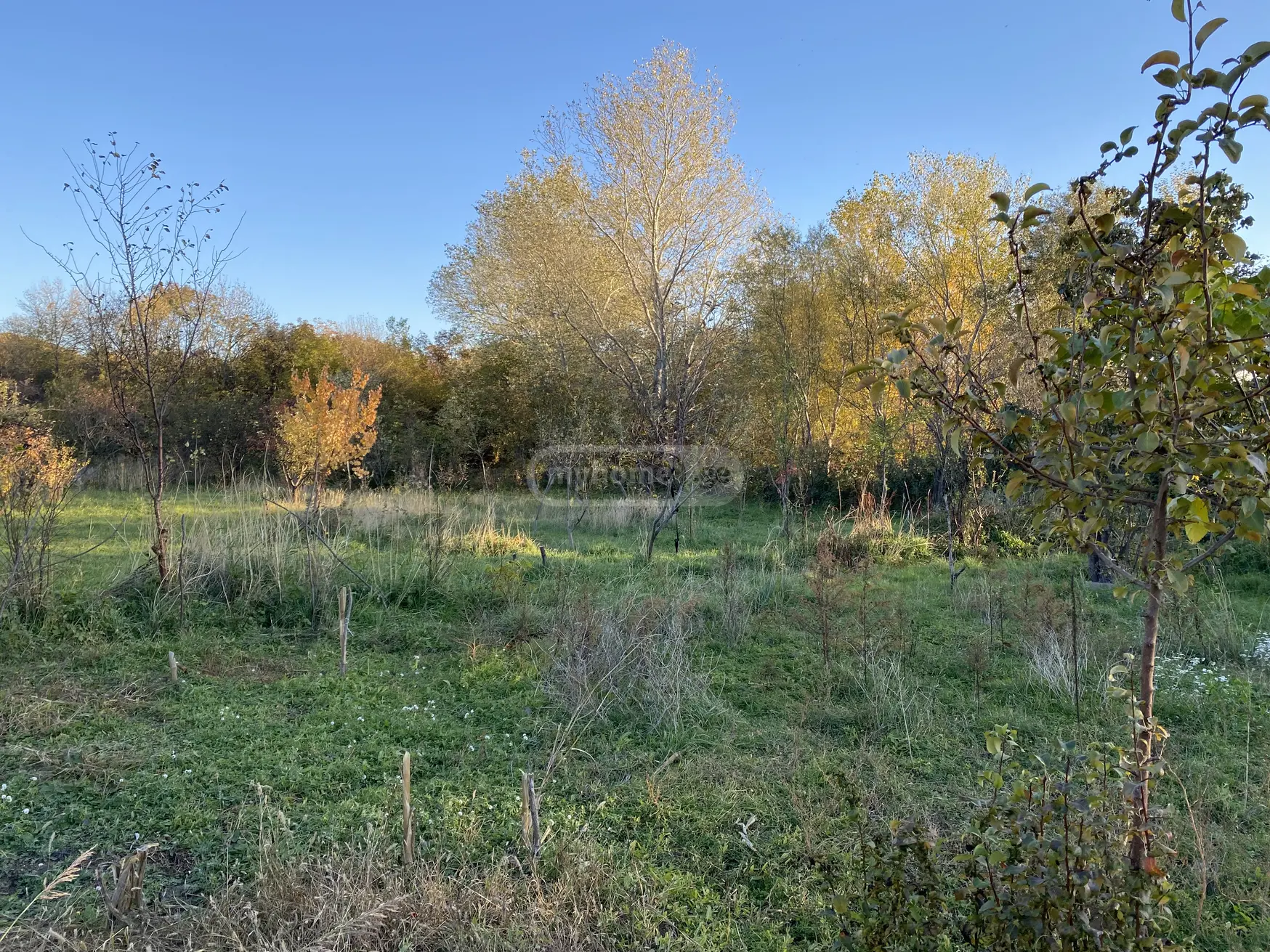 Продажа Agricultural Plot в In Martkopi, In Gardabani Municipality view 4