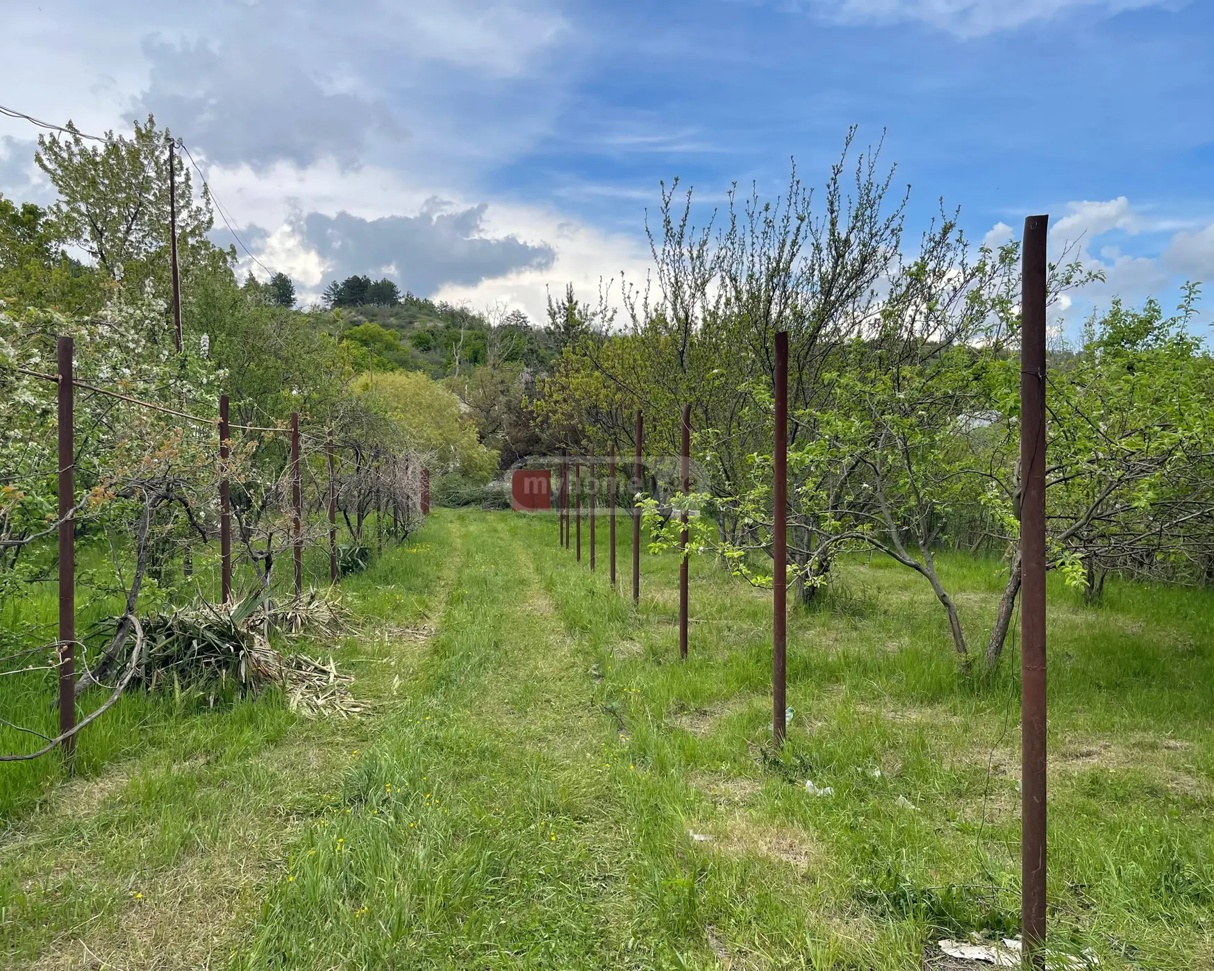 7 Room Country House For Sale view 4