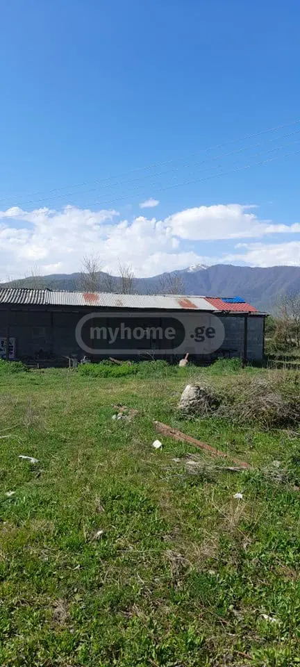 Non-Agricultural Plot For Sale In Lagodekhi view 8