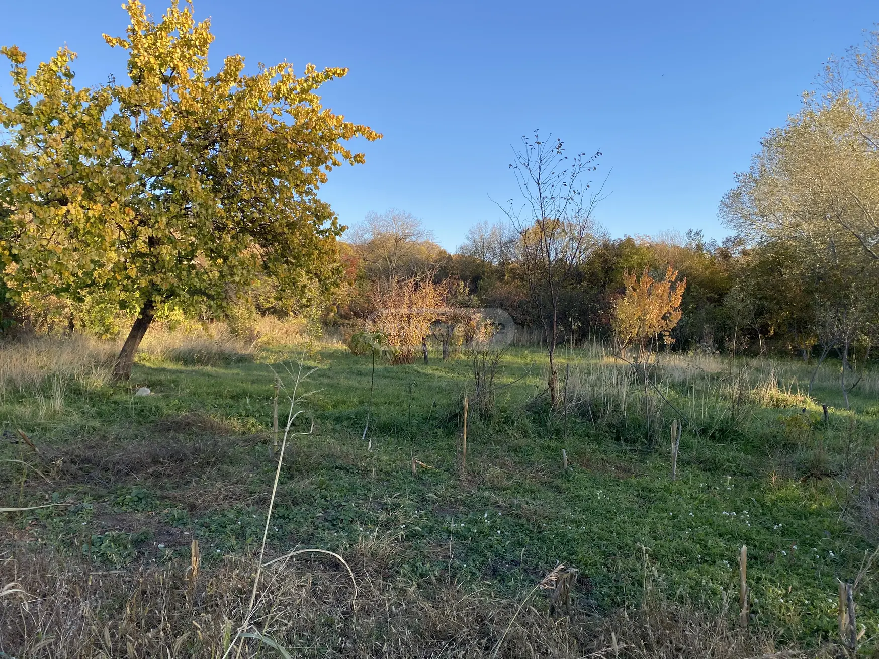 Продажа Agricultural Plot в In Martkopi, In Gardabani Municipality view 6